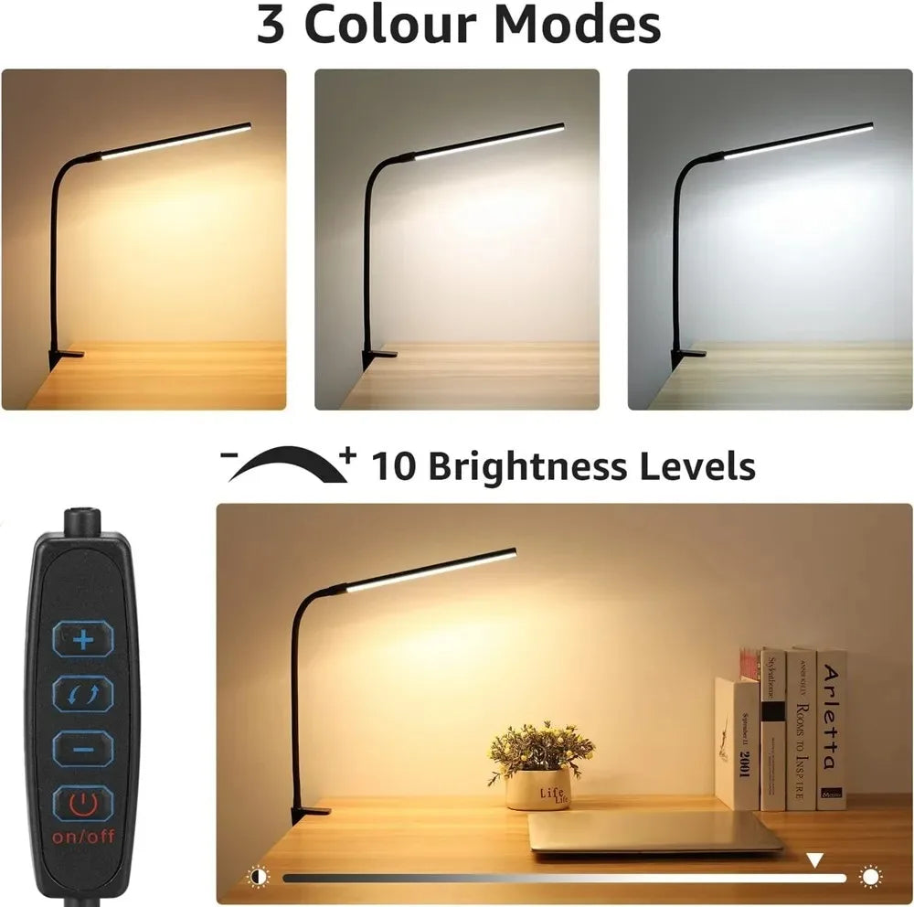 DualVision Desk Lamp