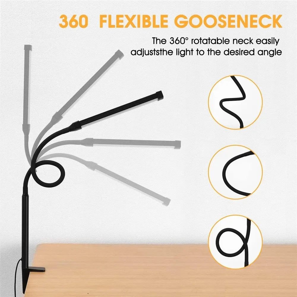 DualVision Desk Lamp