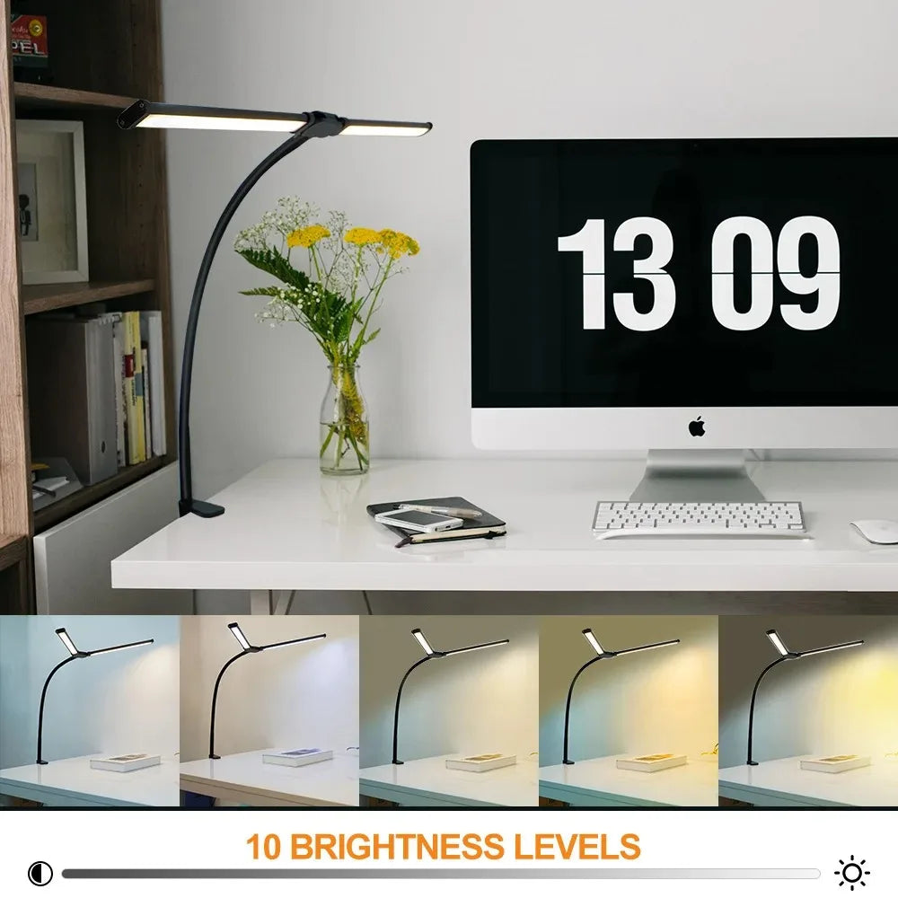 DualVision Desk Lamp