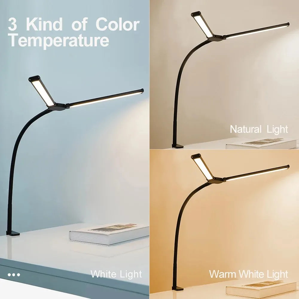 DualVision Desk Lamp