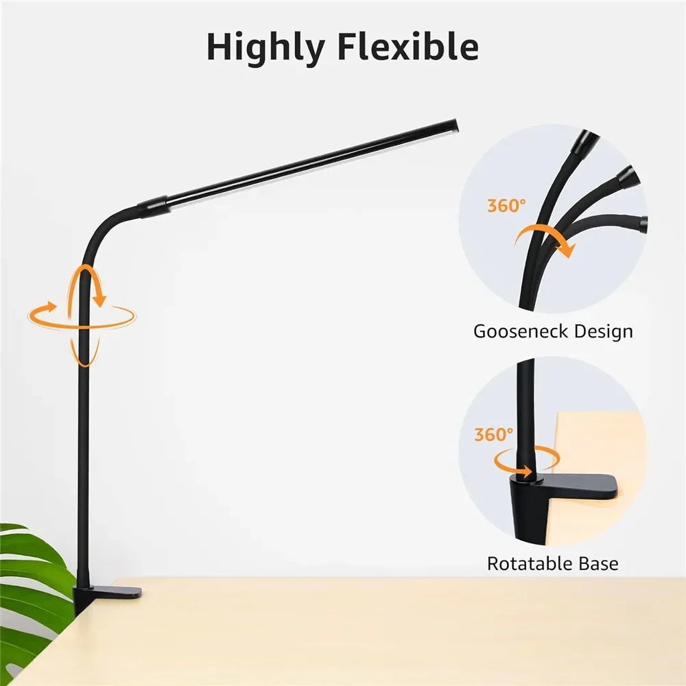DualVision Desk Lamp