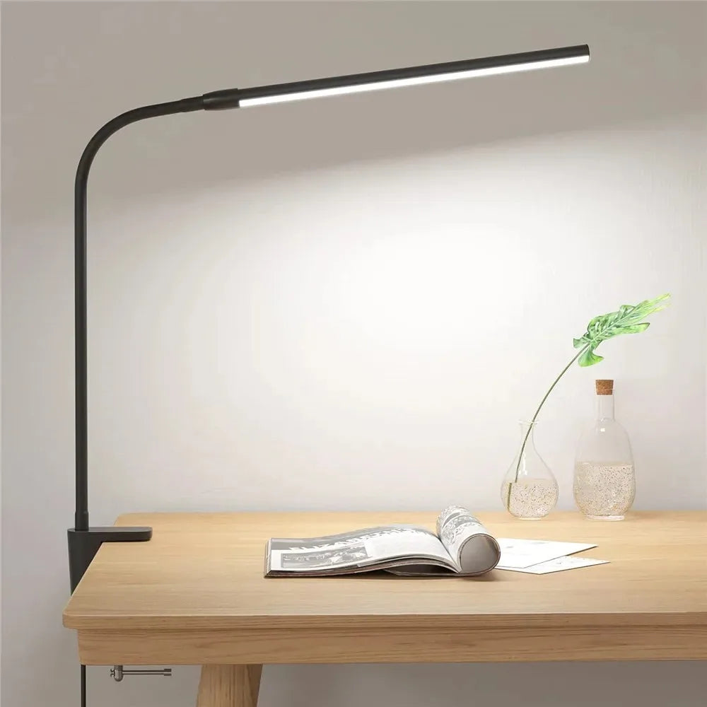 DualVision Desk Lamp