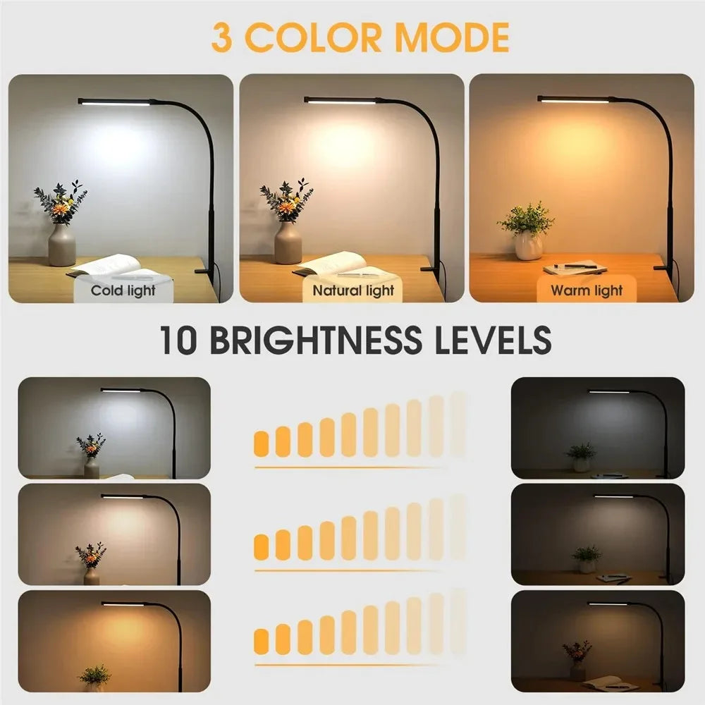 DualVision Desk Lamp