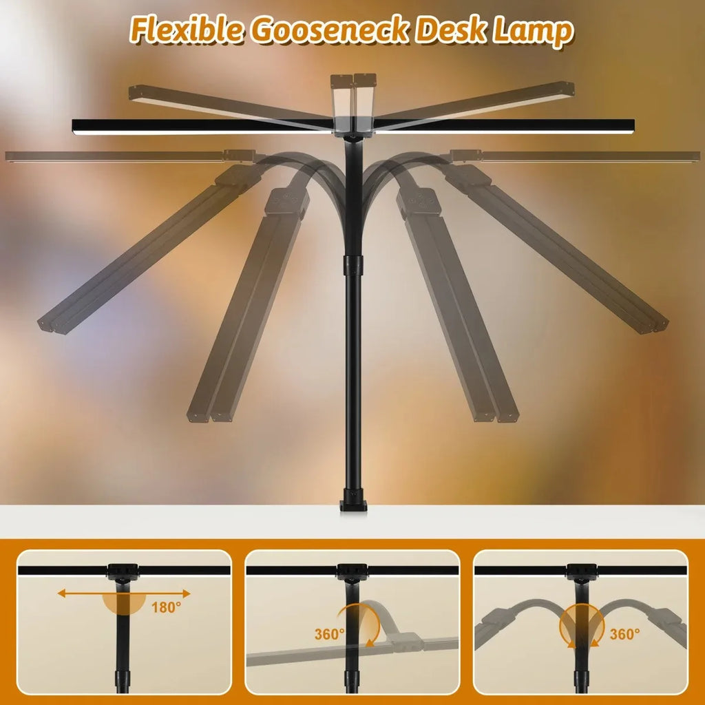 DualVision Desk Lamp