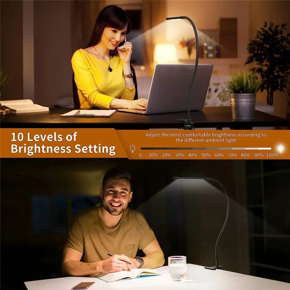 DualVision Desk Lamp