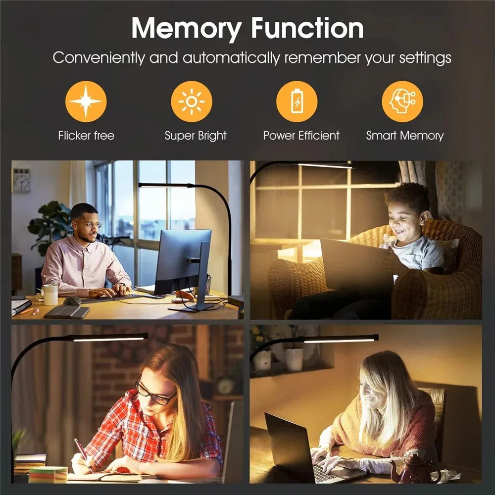 DualVision Desk Lamp