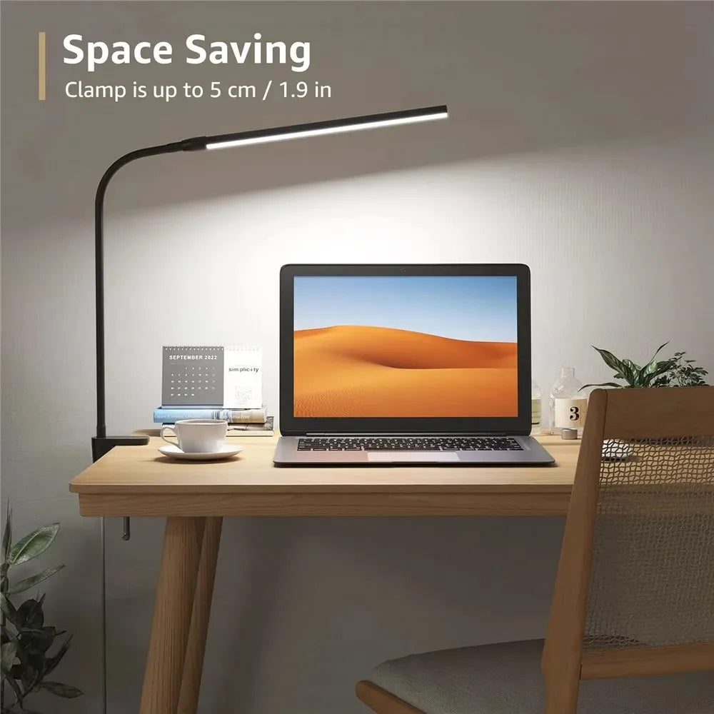 DualVision Desk Lamp